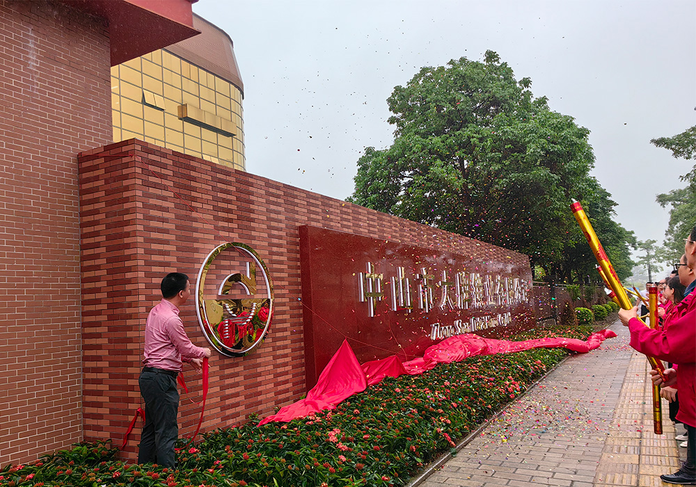 DAPAI Mirror DAPAI Mirror